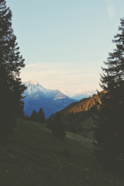 pir-ado:  expressions-of-nature:  by blackyeti