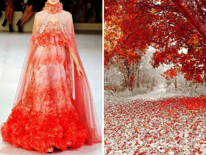 because-b:    Fashion &amp; Nature: Russian Artist Compares Famous Designers’