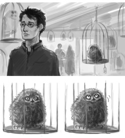 emmahay:  Owl Shop. (Or, when Harry found Hegwig’s successor - before it could fly). (Honestly, I just wanted to draw a snowy owl chick - which are essentially fluffy dust mops that stomp around the taiga choking down lemmings larger than their heads.)