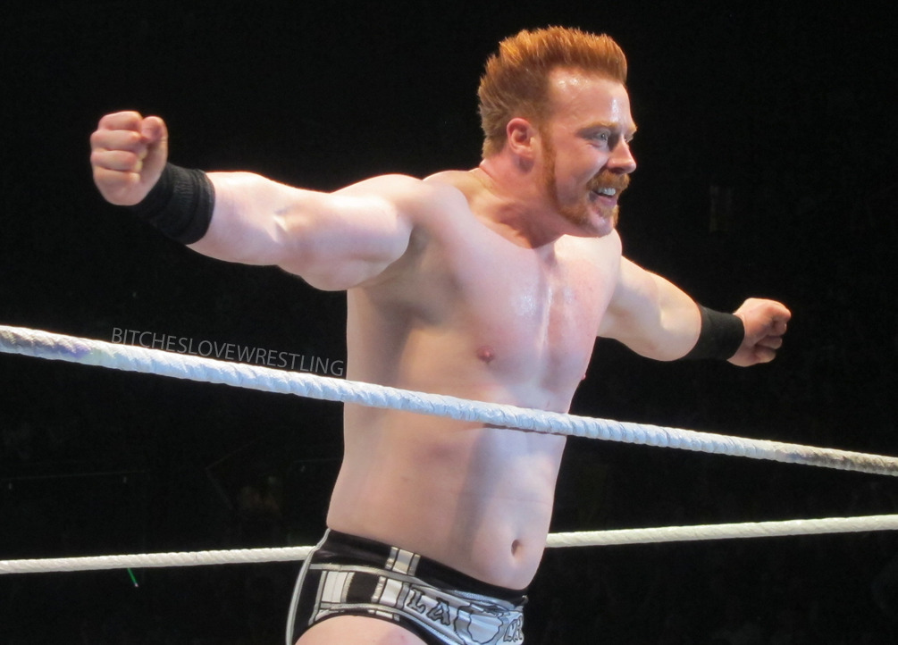 bitcheslovewrestling:  As always, Sheamus took the time to greet fans around the