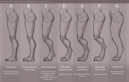 XXX sparklepawz:Legs anatomy references - by photo