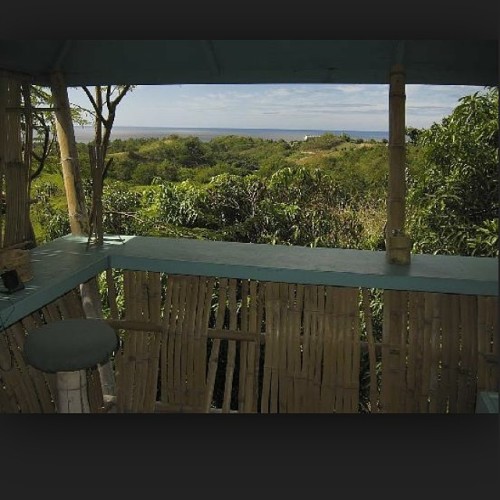 And then there was that one time I rented a treehouse in the jungle. #tropicaltreehouse #treehouse #