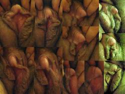 bigclits:  Submitted by gene: Various closeups of my wife’s “obscene organ of brute pleasure” which grows to 2.5 inches when fully erect.  Love it