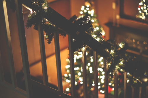 paulcriswell:My Photography // Seasonal