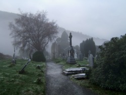 girlsinthegraveyard:  The mists are swirling through the graveyard today. 