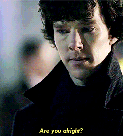 anigrrrl2:  Excuse me while I fling myself into the sun.  