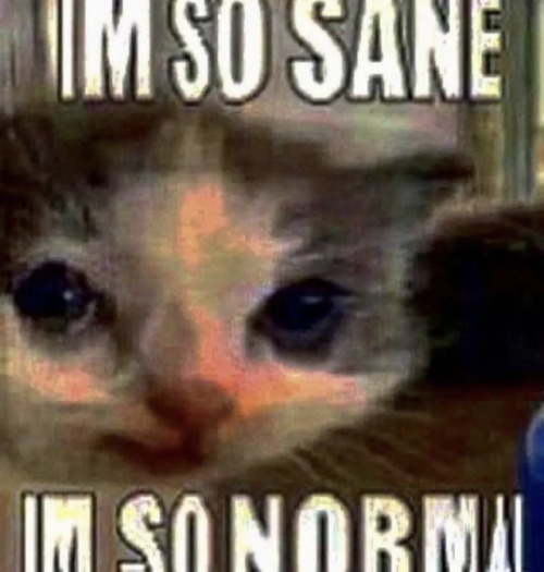 Vincent Stans Upon Checking Patreon Notifs 1 Minute Ago: