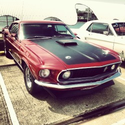 Mustang&hellip; my love wish it was mine