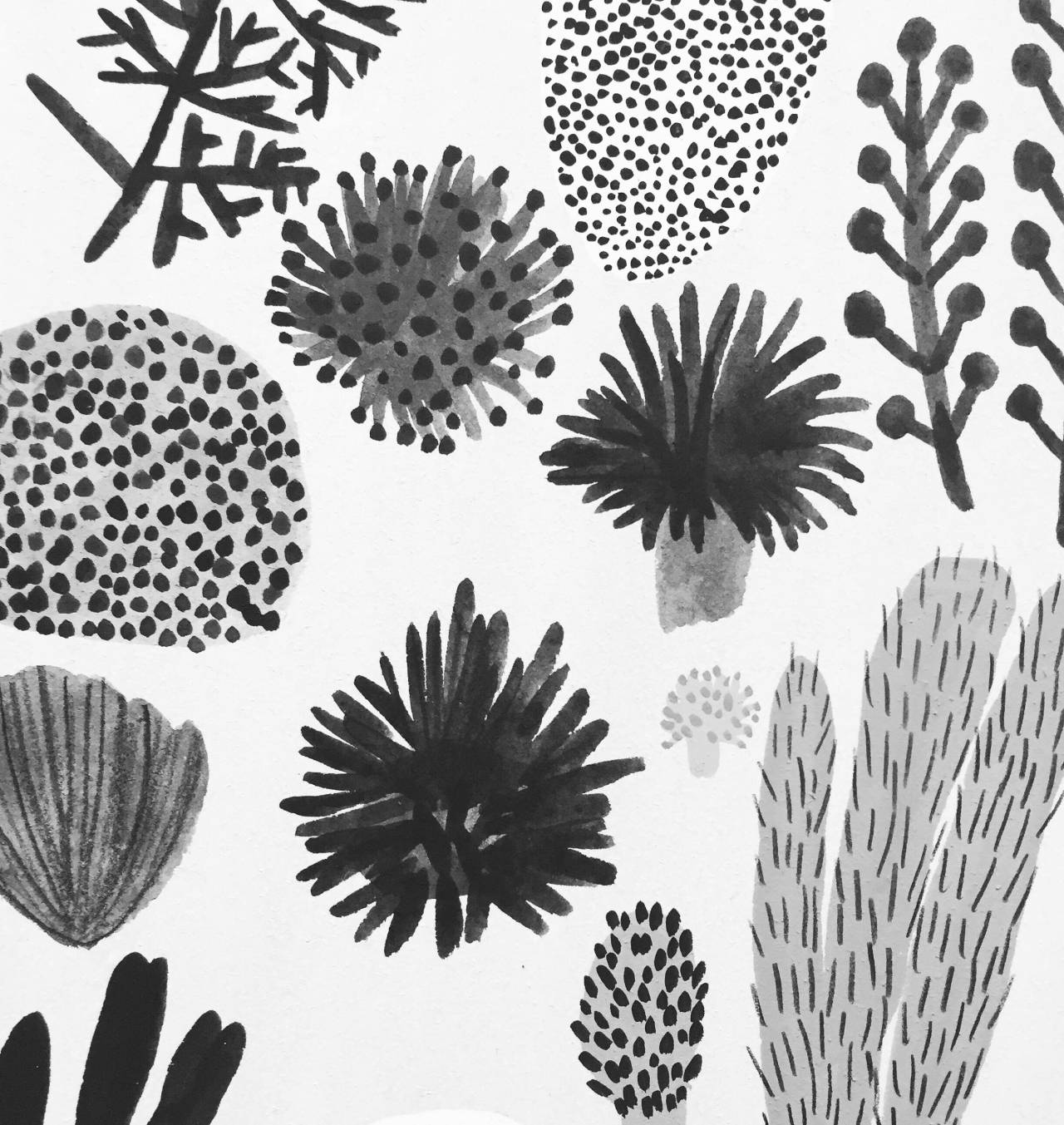Kate Pugsley