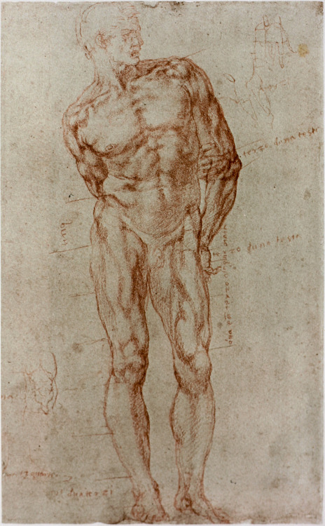 michelangelogallery: Michelangelo Figure Drawing