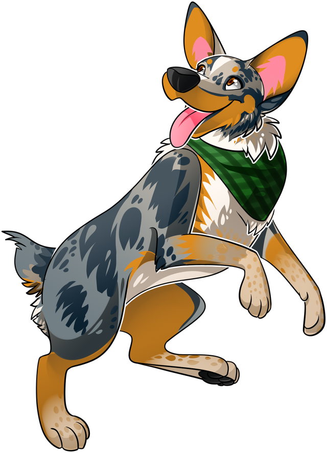 Drew my partner’s dog for him to, in the future, get tattooed! This is Timber, the Australian Cattle Dog/Australian Shepherd! #australian shepherd #australian cattle dog #blue heeler #australian shepherd art  #australian cattle dog art #texas heeler#art#digital art #paint tool sai