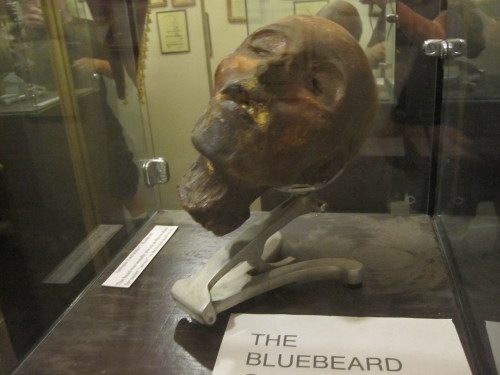 luciferlaughs: The severed head of Henri Landru on display at the Museum of Death, a French serial k