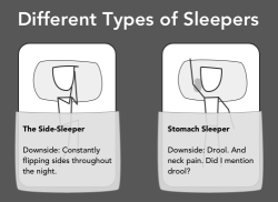 michaelhancox:  tastefullyoffensive:  Different Types of Sleepers [doghousediaries]  I think I do every one of them each night 