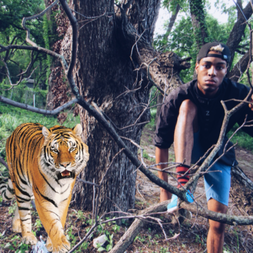 Me and my pet tiger