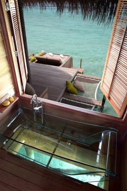 photos-turistic-places:  Tahiti/Bora Bora. see thru tub! 