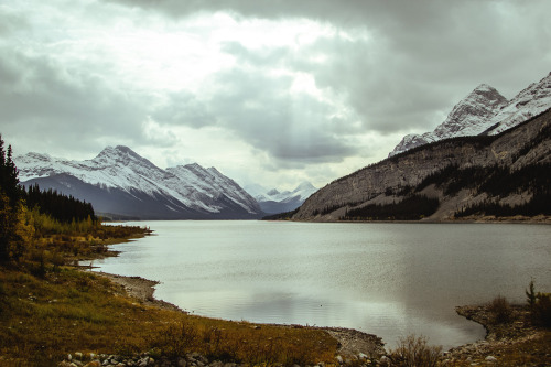 k0asts:  chrisamat:  Kananaskis, AB  ~