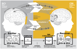 futurescope:  Conscious Brain-to-Brain Communication in Humans Using Non-Invasive Technologies  In short, understandable words: Scientists have successfully transported words from one brain to another over the internet.  Abstract:     Human sensory and
