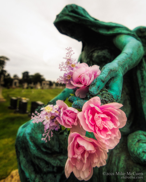 Someone visiting the Gail family plot placed many plastic flowers on several graves there. They also