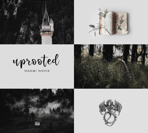 eliamatrell:from the bookshelf:  uprooted by naomi novikWhat is there besides people that&rsquo