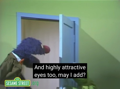 ode-to-rab: dnald:  dnald:       sesame street gets exponentially funnier as you age. god i love it 