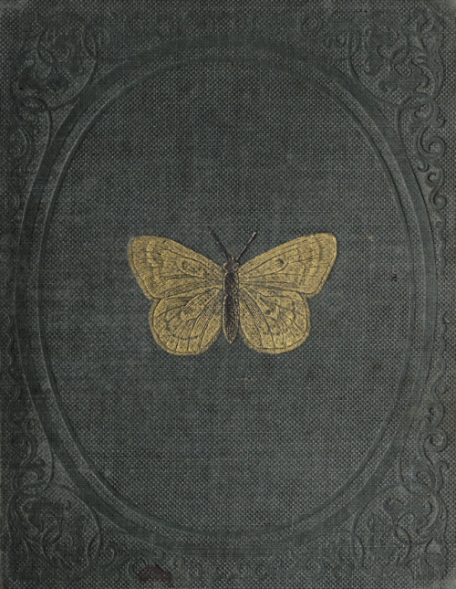 nemfrog:History of insects. 1839. Book cover.Internet Archive