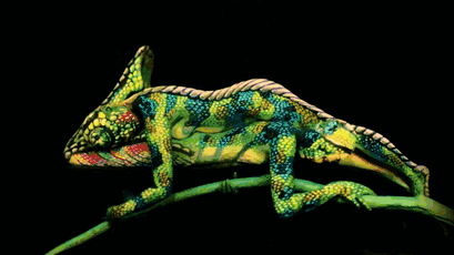 ragecomics4you:  This Chameleon Is Actually Two Painted Womenhttp://ragecomics4you.tumblr.com