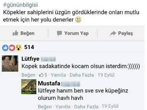 günün bilgisi

Köpekler...