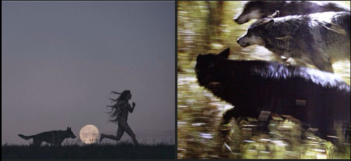 Werewolf