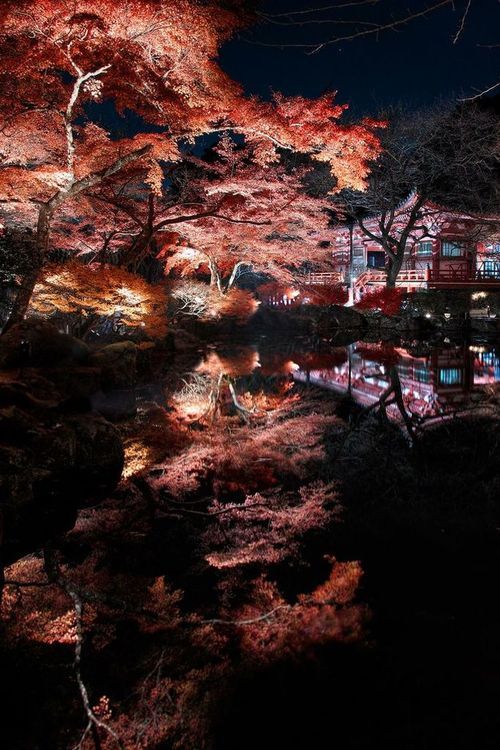 hoshiomezashite:  Daigoji - Kyoto - Japan on We Heart Itweheartit.com/entry/114960813/via/Aki
