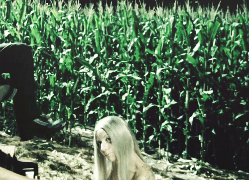 Little Monster