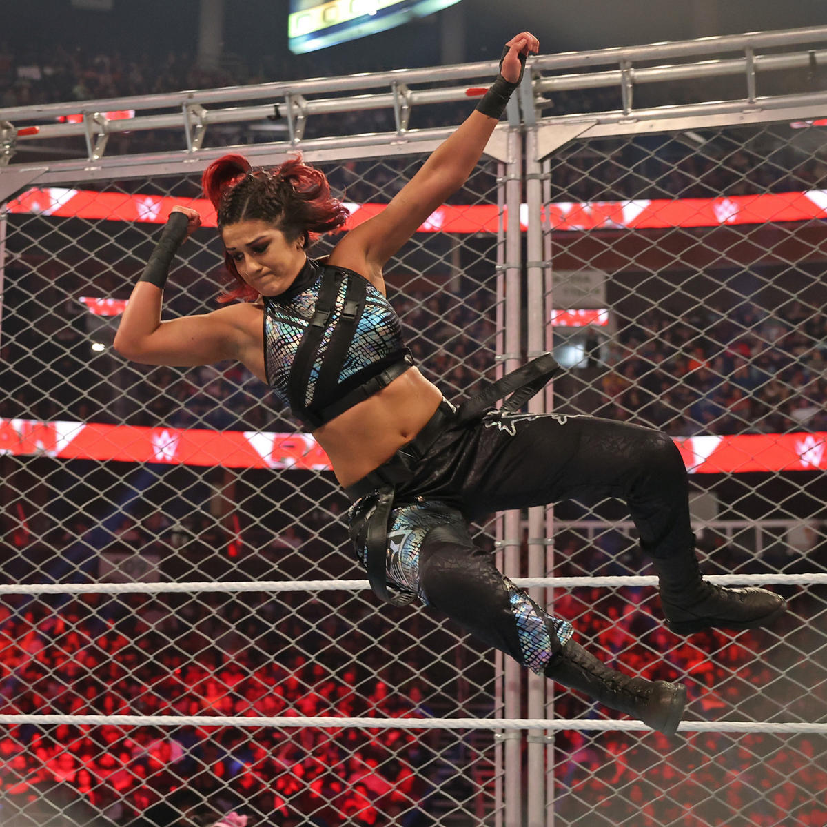 🎄Women of WWE🎄 — Becky Lynch vs. Bayley - Steel Cage Match Raw