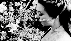 corasharper:  make me choose: ferelden asked: margaery tyrell or cersei lannister