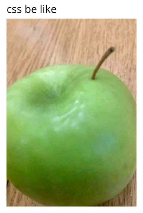 CSS be like