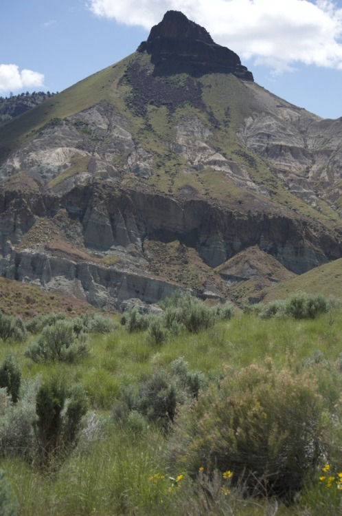 lwhittie: John Day National Monument I went on a weekend field trip to the John Day with my Paleobio