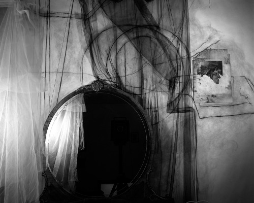 artemisdreaming:   Lauren Semivan      