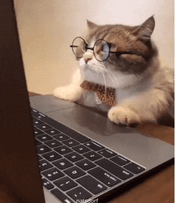 thenatsdorf:  “Mom, the treats I love are on sale!” (via purring_gooloo_munchkin)