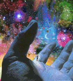 Trip Is Love