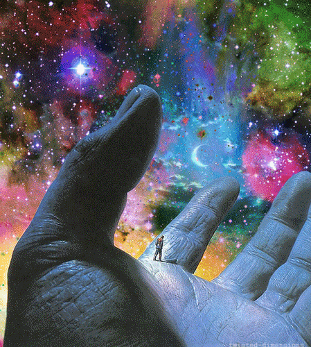 trip is love