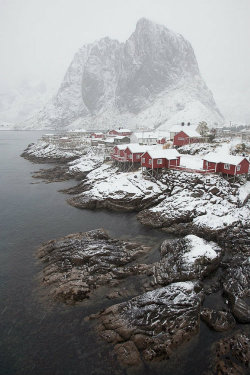 ternpest:  Snowstorm in Hamnøy | Julien Fumard | Lofoten, Norway 