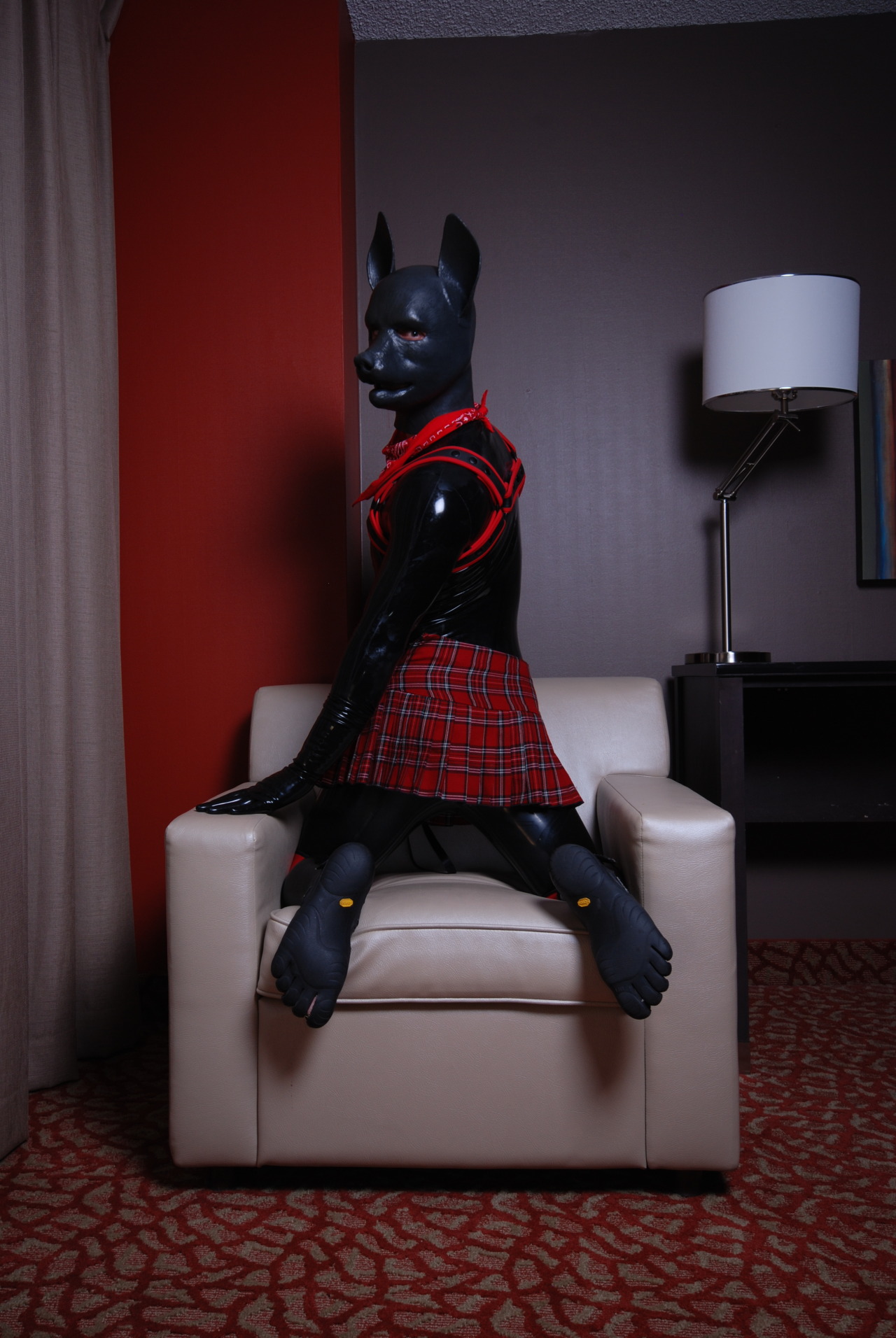 liondogari:  Solo shots of the girly pup from BLFC