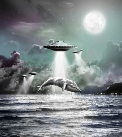 ufo-the-truth-is-out-there:Save The Whale: