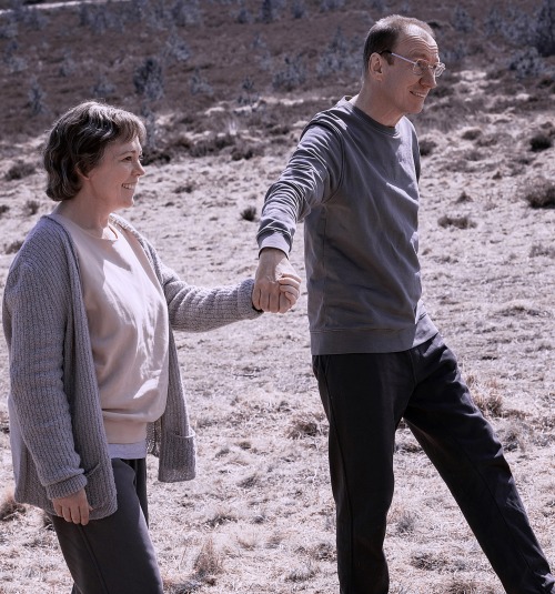 Olivia Colman &amp; David Thewlis / Landscapers