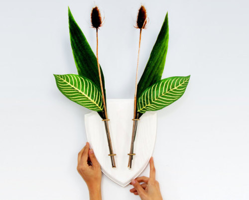 Porn photo sosuperawesome: Wall Vases by Eco Deer on