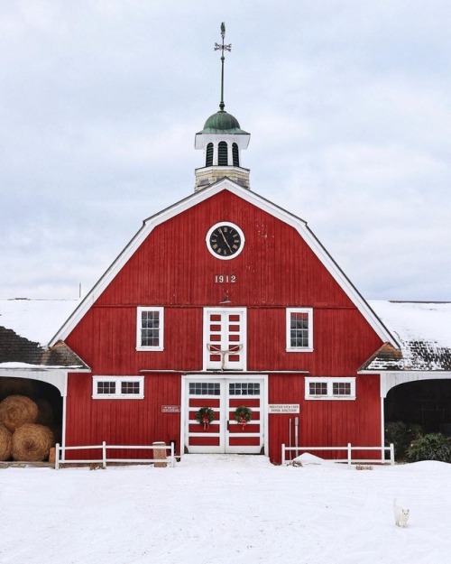 www.instagram.com/innatmountainviewfarm