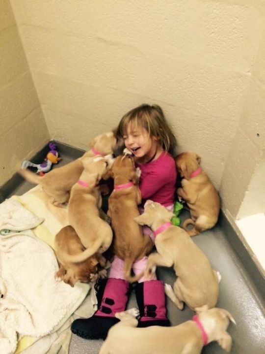 People Who Work With Animals Are Sharing Their Cutest Photos, And We Can’t Get Enough