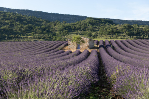 Couleurs et lumière de Haute-Provence