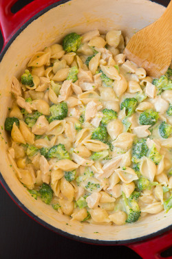 foodffs:  Creamy Broccoli Chicken Shells and Cheese Really nice recipes. Every hour.     