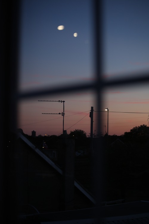 shannenphotographie: Sunset.