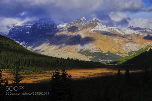 Sunwapta Pass in Jasper National Park by StevenRanger