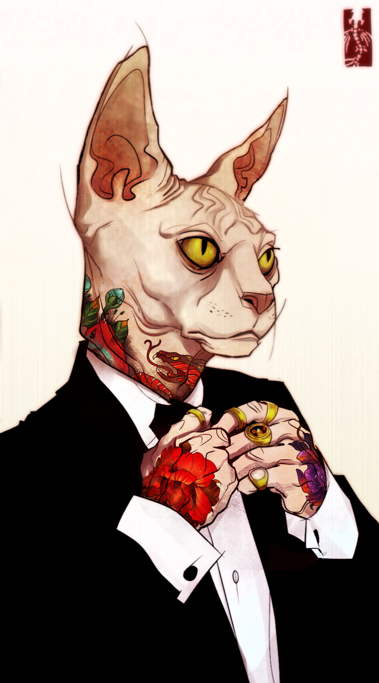 fer1972:  Illustrations by Zarnala